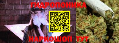 стаф Ливны