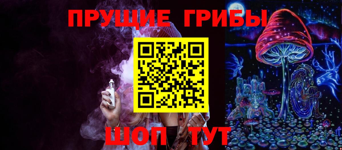Электросталь  Псилоцибиновые грибы ЛСД  Вход с VPN  Псилоцибиновые грибы Psilocybine cubensis 