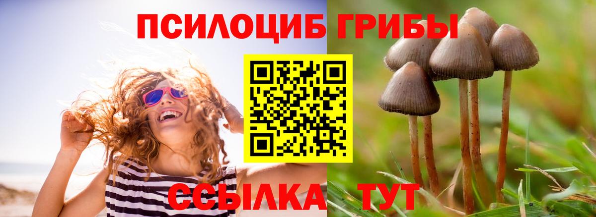 Псилоцибиновые грибы мицелий Электросталь